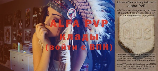 спайс Ладушкин